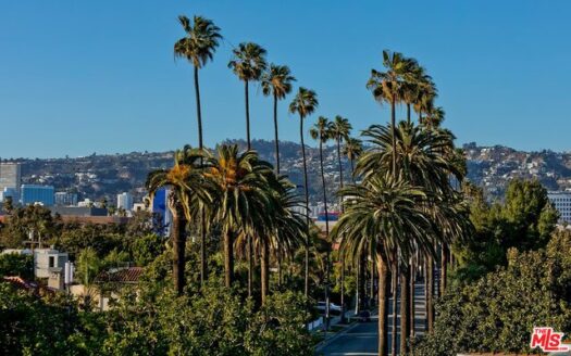 베벌리힐스 인근 신규 건축한 6유닛 3베드 타운홈 매매